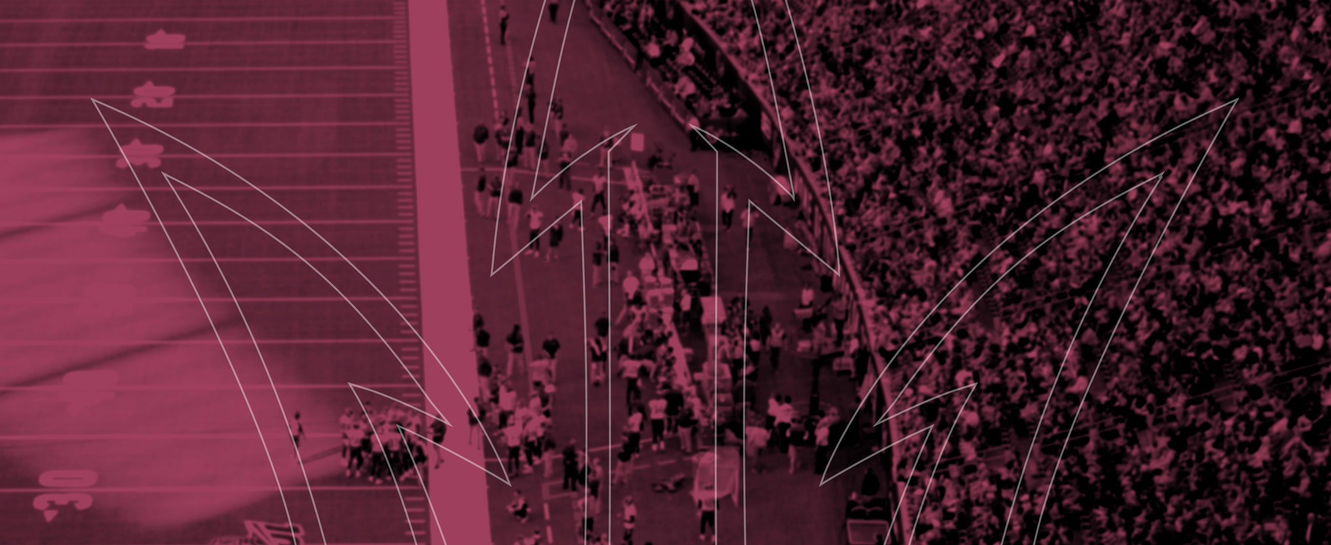 Officially Licensed Arizona State Party Supplies Westrick & Co