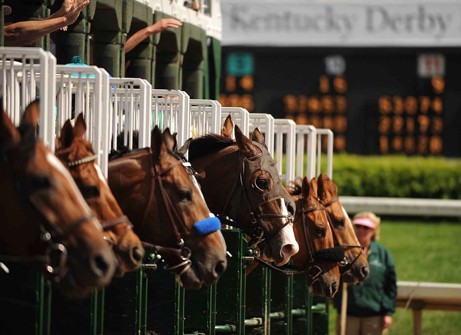 Kentucky Derby Decorations & Party Supplies