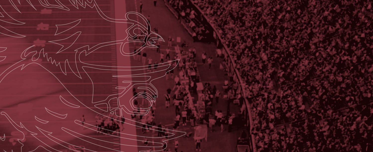 South Carolina Gamecocks