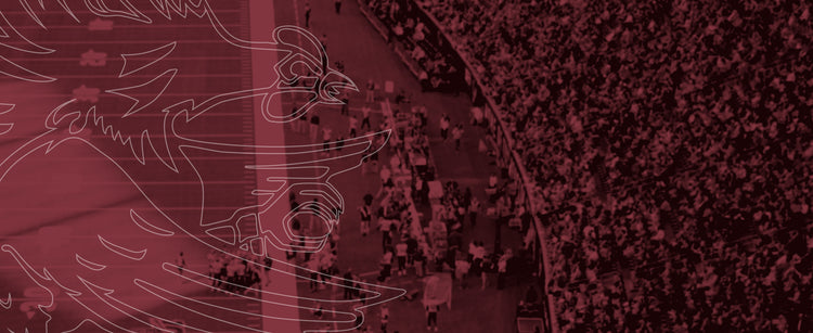 South Carolina Gamecocks